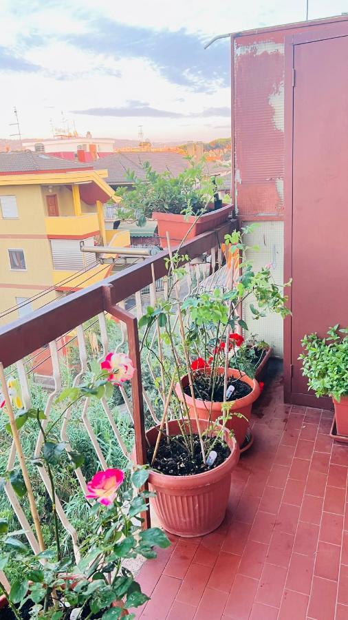 Oasi di Serenità Marino Exterior foto